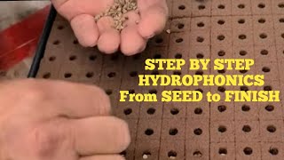 Hydroponic Seed to Finish STEP BY STEP [upl. by Nickerson]