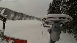 Areál Harrachov LIVE [upl. by Anirdnaxela332]