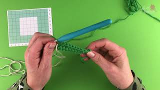 Tapestry haken  Tutorial haaktechniek Gek op Haken [upl. by Anauqes153]