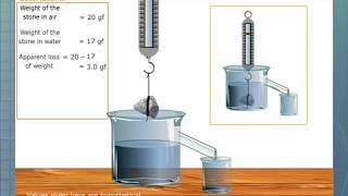 Verification of Archimedes Principle [upl. by Binnie755]