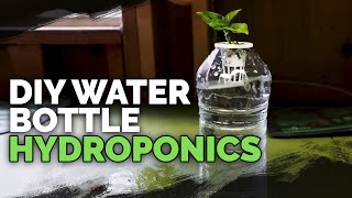 DIY Water Bottle Hydroponic System for Propagating and Herbs [upl. by Linis]