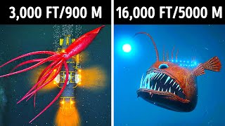 Fascinating 3D Journey to the Ocean Depths [upl. by Zeiger]