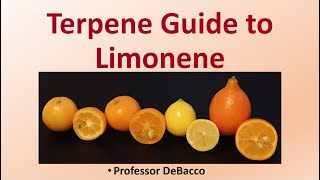 Terpene Guide to Limonene [upl. by Nnhoj]