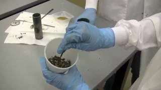 From Seed to Oil  Processing of Jatropha Curcas [upl. by Suertemed]