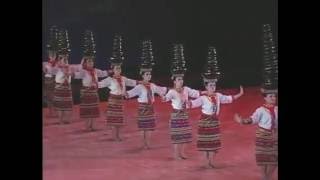 The Banga folk dance masters of balance [upl. by Blinnie670]