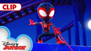 Too Much Fun  Marvels Spidey and His Amazing Friends  disneyjr [upl. by Cherie763]