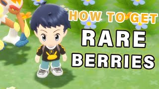 How to get RARE Berries ► Pokemon Brilliant Diamond  BDSP [upl. by Lesslie]