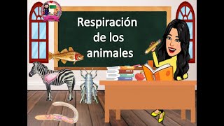 Respiración de animales [upl. by Llenrod796]