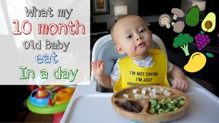 1 Day Meal Plan for 6M3Yr Babies  3 Healthy Homemade Baby Food Recipes  Breakfast Lunch Dinner [upl. by Rednaeel]