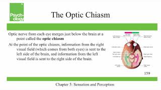 Openstax Psychology  Ch5  Sensation and Perception [upl. by Arratoon]