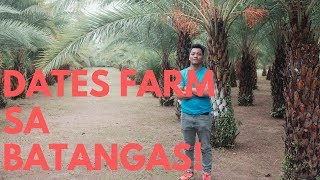 Batangas Dates Farm [upl. by Sydney]