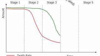 The Demographic Transition Model [upl. by Seka]