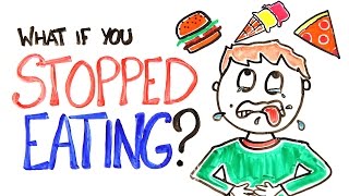 What If You Stopped Eating [upl. by Yenttihw]