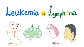 How lymphatic vessels move fluid  Lymphatic system physiology  NCLEXRN  Khan Academy [upl. by Belshin11]