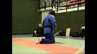 JiuJitsu demonstration [upl. by Bowers]