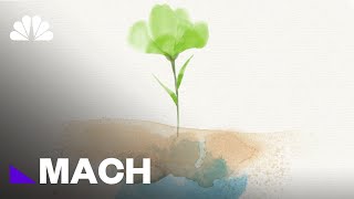 Keeping Earth Alive How Photosynthesis Is Essential To Our Survival  Mach  NBC News [upl. by Oiril]