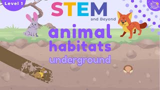 Animal Habitats  Underground  KS1 Science Resources [upl. by Aksel]