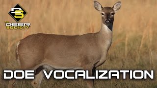 Doe Vocalizations [upl. by Kania885]