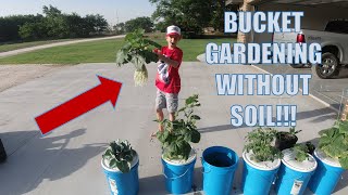 Garden in 5 Gallon Buckets Without Soil DIY Hydroponics [upl. by Dawna]