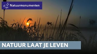 Natuur laat je leven maar waarom [upl. by Gilder]