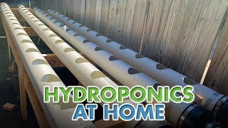 Hydroponics at Home [upl. by Darbee]