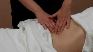 Qi Nei Zang Chinese Abdominal Massage [upl. by Ahrat939]