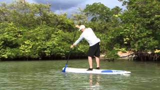 Stand Up Paddling  The Ideal Forward Stroke [upl. by Eoz688]