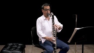 Instrument Bass Clarinet In Depth [upl. by Stefa]