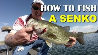 How To Fish A Senko  Bass Fishing [upl. by Adidnere163]