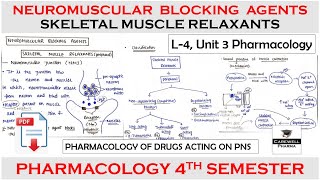 Neuromuscular Blocking Agents and Skeletal Muscle Relaxants  L4 U3  Pharmacology 4th semester [upl. by Lallage]