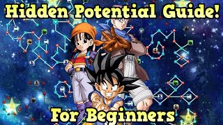 Hidden Potential Guide For Beginners DBZ Dokkan Battle [upl. by Ainival857]