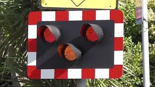 Level Crossing [upl. by Evander667]