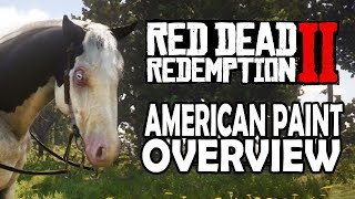 American Paint Overview  Red Dead Redemption 2 Horses [upl. by Klarrisa211]