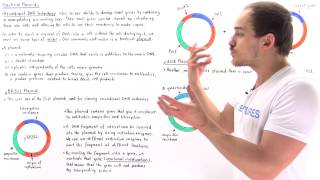 Plasmids and Recombinant DNA Technology [upl. by Hutson]