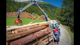 🌲 🌳 Forst technikWaldarbeit 🌲 🌳 Lets drive 🔥BRENNHOLZ🔥🚜 [upl. by Fernandez]