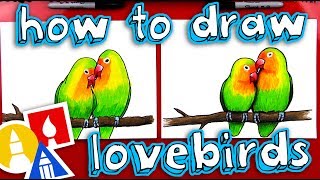 How To Draw Lovebirds [upl. by Kelwin]