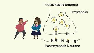 How Zoloft Sertraline Works [upl. by Soll]