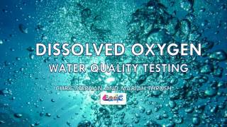 Dissolved Oxygen Water Quality Testing [upl. by Annej]