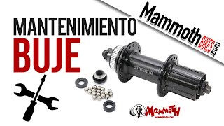 Cómo hacer el mantenimiento y ajuste de un Buje básico de Bicicleta [upl. by Mauer]