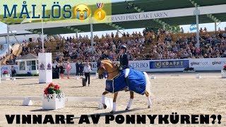 FALSTERBO HORSE SHOW 2019 [upl. by Iilek531]