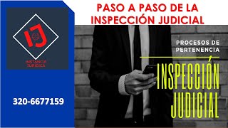 INSPECCIÓN JUDICIAL EN LOS PROCESOS DE PERTENENCIA [upl. by Koeppel]