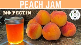 Peach Jam without Pectin  Useful Knowledge [upl. by Anil826]