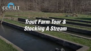 Cobalt Trout Farm Tour and Stocking A Stream [upl. by Achilles]