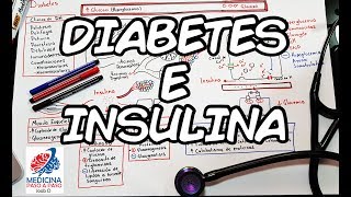 Fisiología Diabetes e Insulina Generalidades [upl. by Anipsed271]