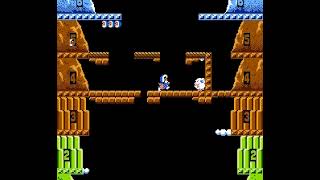 NES Longplay 250 Ice Climber [upl. by Naujej]