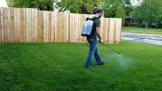 How To Kill Weeds  Spray Lawn Weeds With Tenacity [upl. by Cornelia]