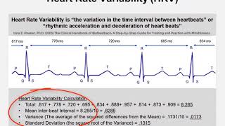 What Is Heart Rate Variability [upl. by Nur]