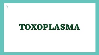 Toxoplasma gondii  Toxoplasmosis  Life Cycle Diagnosis Treatment amp Prevention  MEDZUKHRUF [upl. by Terrijo615]