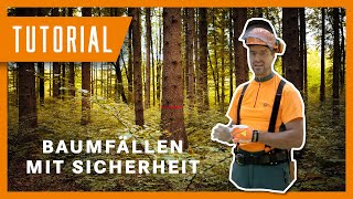 Fällung eines Baumes mit der Sicherheitsfälltechnik  Tutorial der Bayerischen Staatsforsten [upl. by Mcmullan]