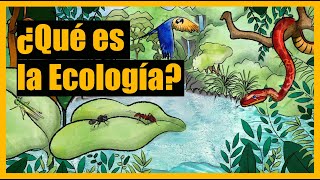 ¿Qué es la Ecología [upl. by Findlay]